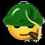DƬ
